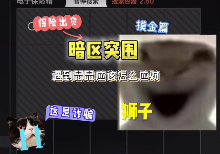 暗区黄鹂鸟直装科技-暗区黄鹂鸟外挂危害揭秘，教你如何防范与应对