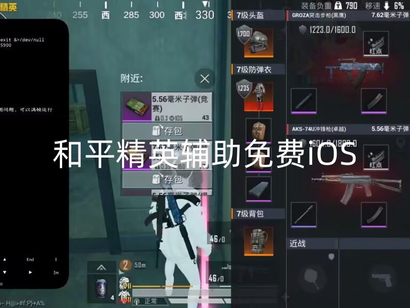 和平精英辅助免费iOS版下载及使用教程，助您游戏大杀四方